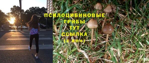 jwh Верея