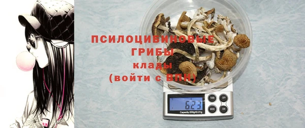 сатива Бугульма