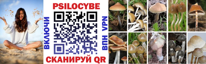 хочу наркоту  Дмитровск  Галлюциногенные грибы GOLDEN TEACHER 